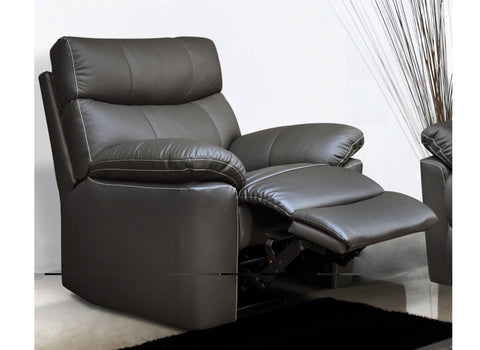 Fauteuil Electrique Releveur Cuir Dallas